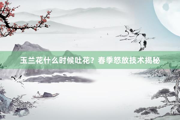 玉兰花什么时候吐花?春季怒放技术揭秘